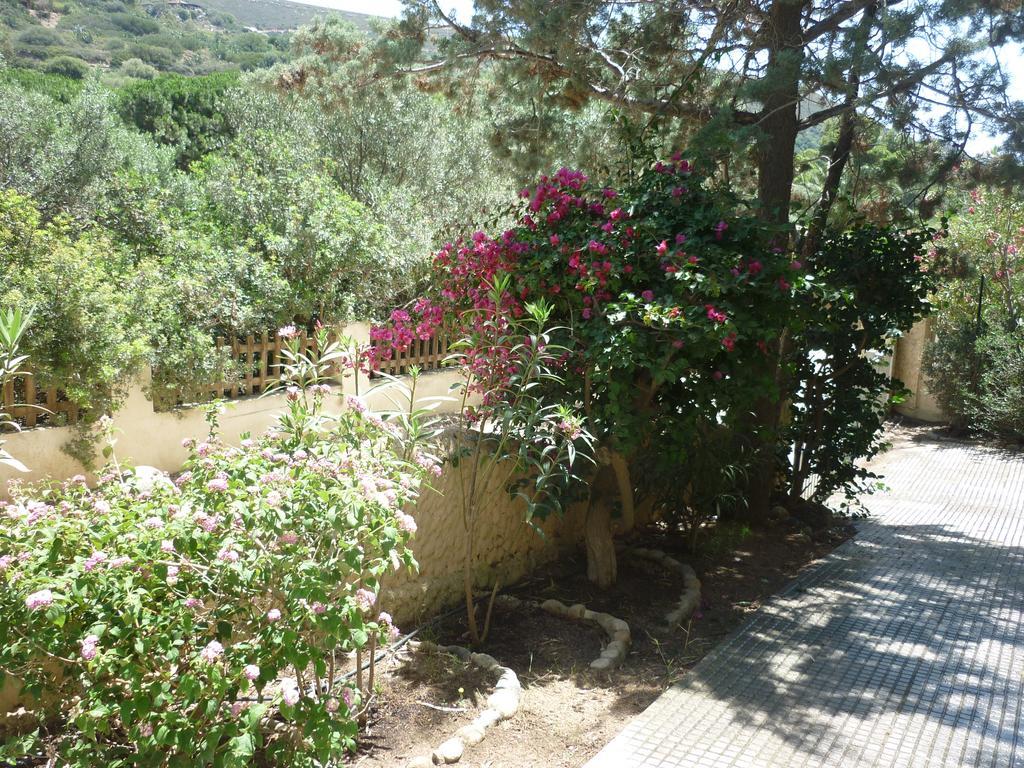 Villa Bonu Torre delle Stelle Buitenkant foto